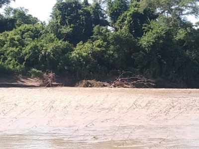 BAGAYERO AGUAS BLANCAS