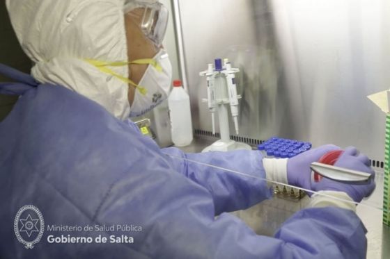 CV SALTA