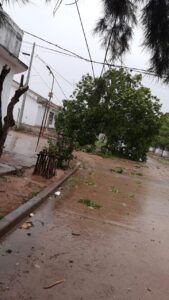 TEMPORAL 2