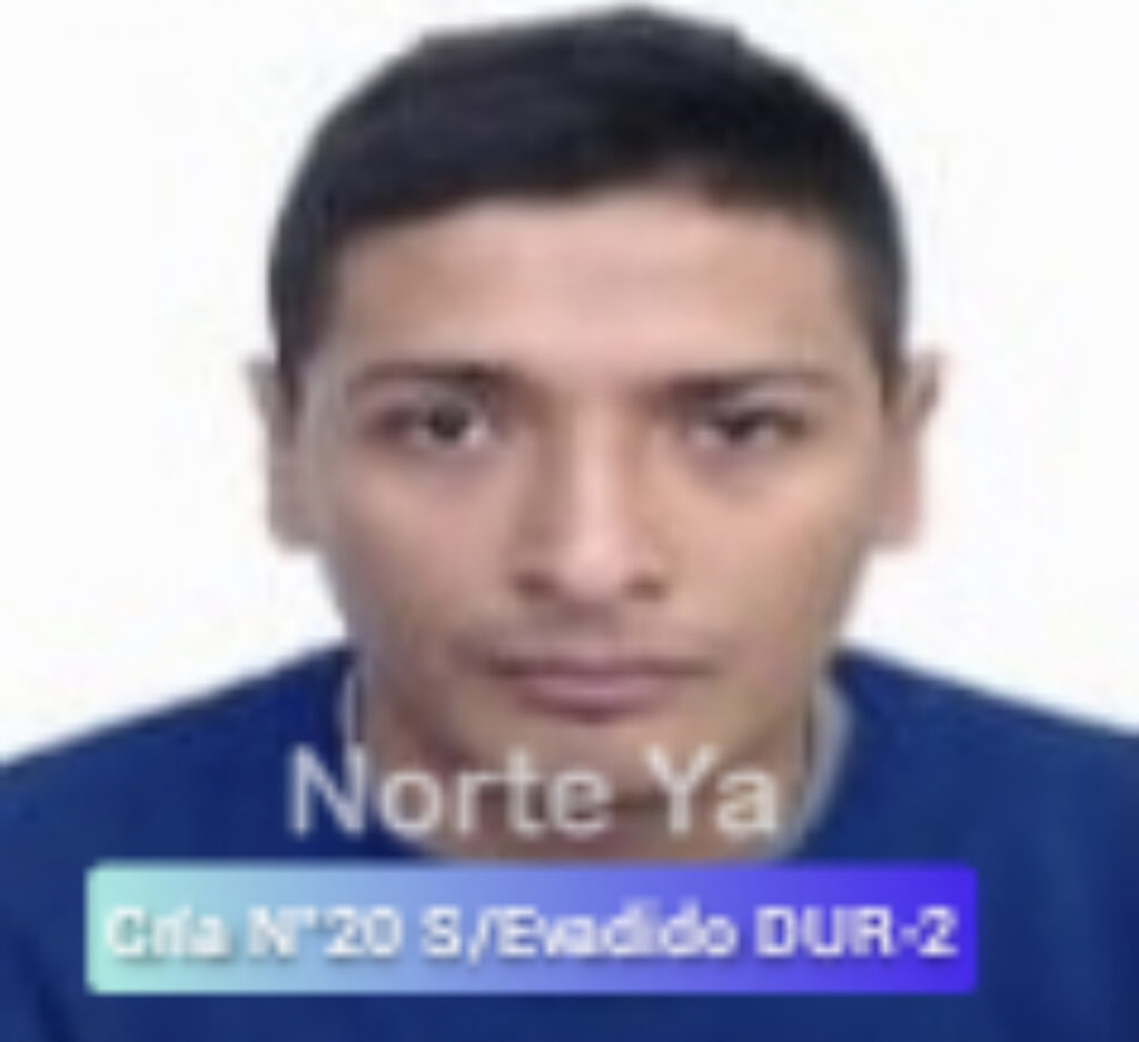 3556E1D3-1E51-4340-A6E9-575EDDE272A5