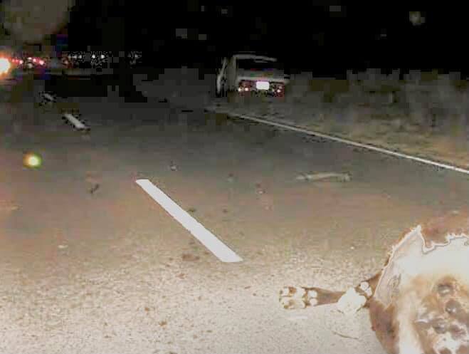 ACCIDENTE