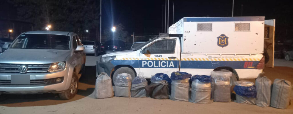 HOJAS DE COCA