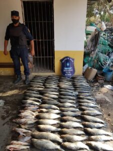 PESCADOS