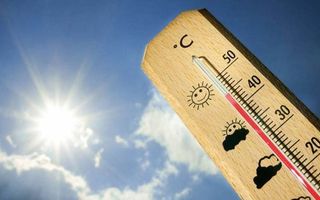 85F9EF40-C1B4-4F52-8BE9-C3391EE9BBC8