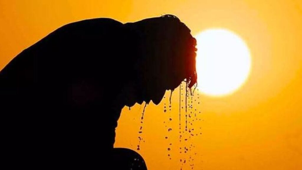 OLA DE CALOR