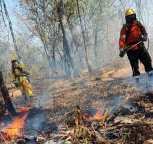 incendio colonia