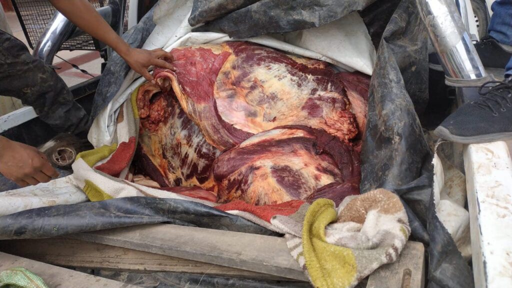 CARNE