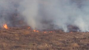 INCENDIOS FORESTALES