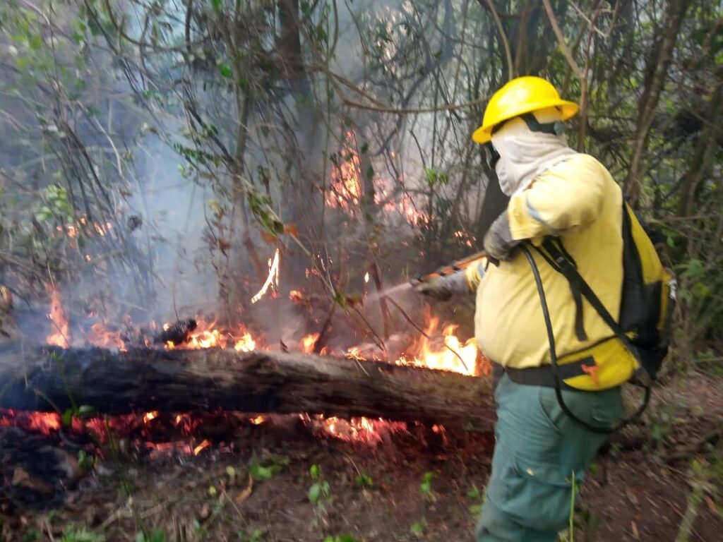 INCENDIOS