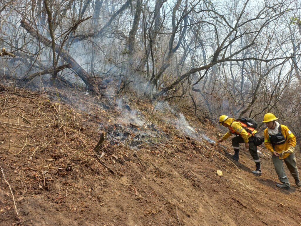 INCENDIOS FORESTALES