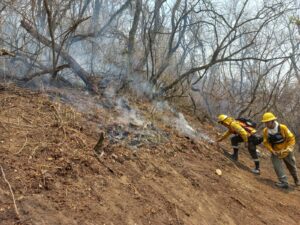 INCENDIOS FORESTALES