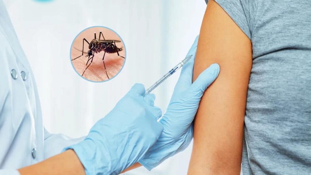 VACUNA DENGUE