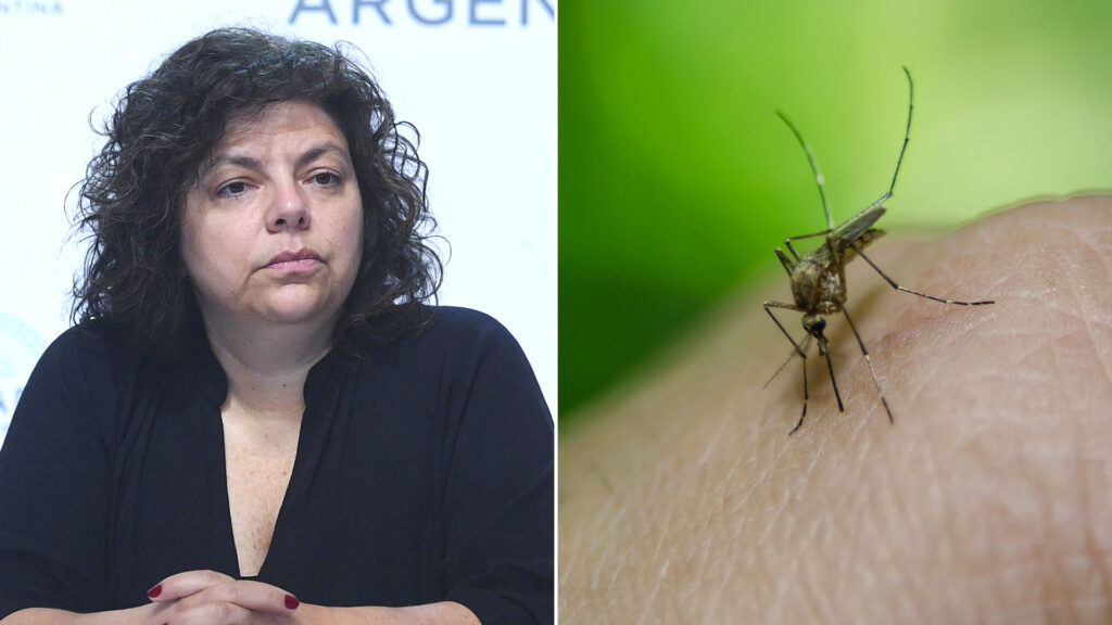 VIZZOTTI DENGUE