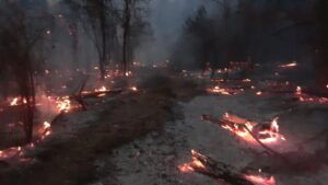 INCENDIOS