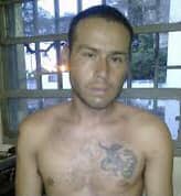 GRINGO PALAVECINO