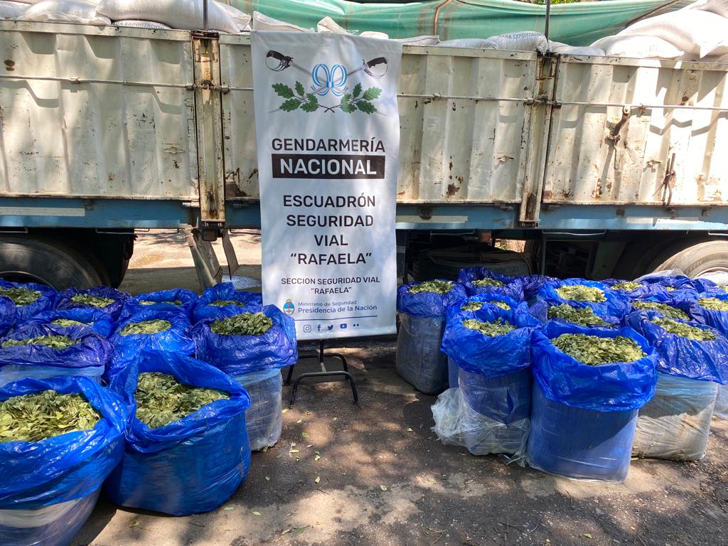 HOJA DE COCA