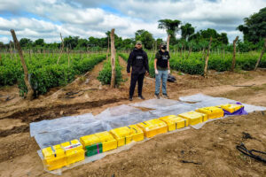 DROGA FINCA