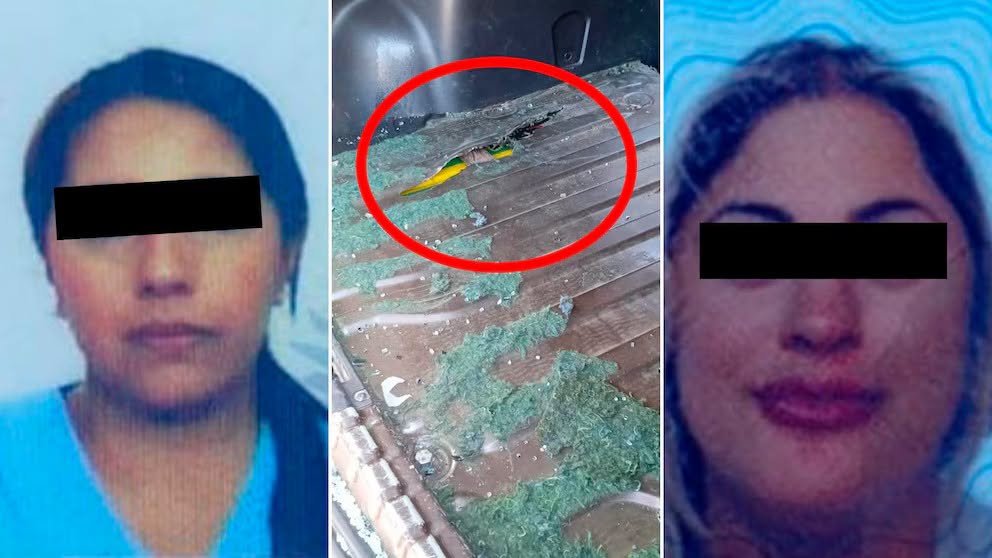TARTAGAL NARCOS